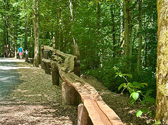 Mit der offiziellen Einweihung des dritten Abschnitts der Waldkugelbahn im Plattenwald wurde das beliebte Freizeit- und Naturerlebnis in Backnang weiter ausgebaut.