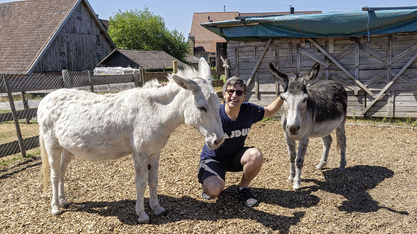 Willy Herrmann mit den Eseln Star und Joy vor dem Stall | © BJ. Lattner